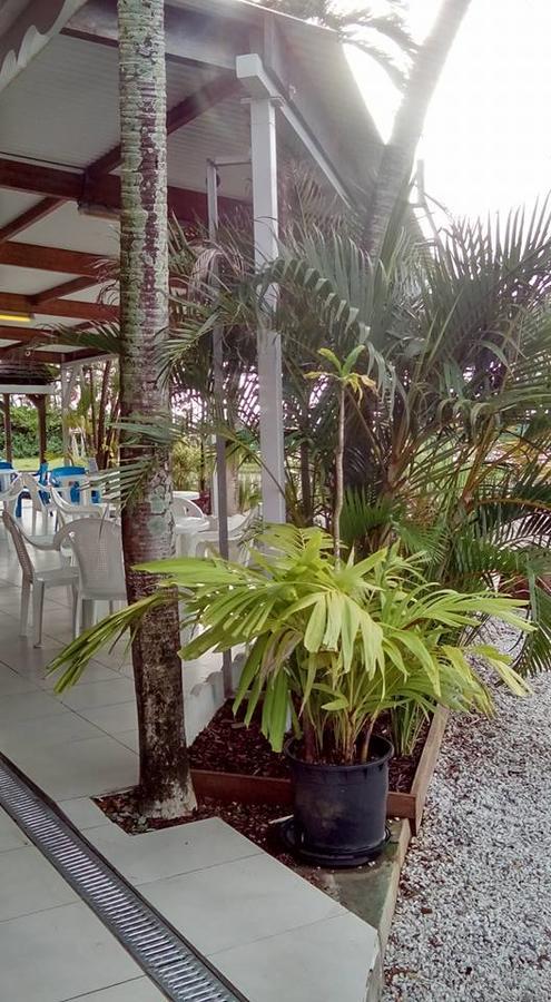 Hotel Des Amandiers Cayenne Exterior foto